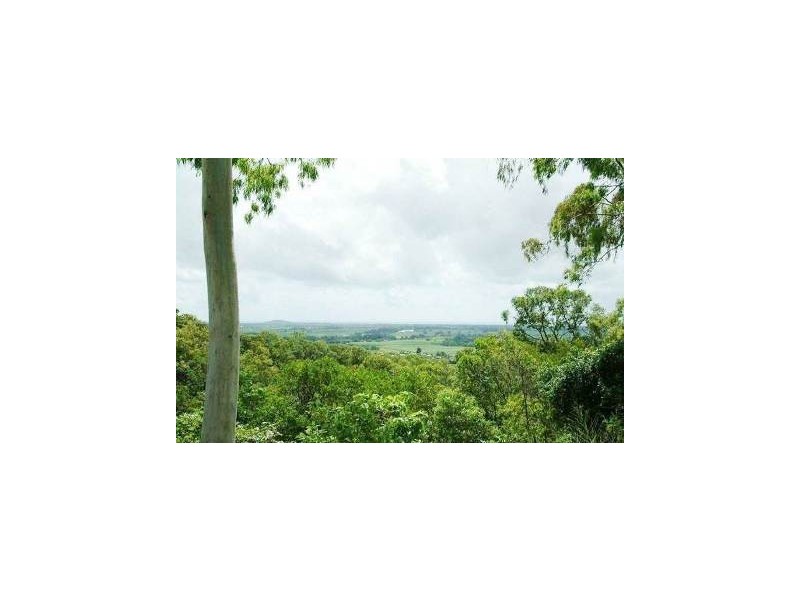 38 Terminalia Street, Redlynch QLD 4870