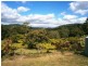 14a Greenhills Road, Kuranda QLD 4881