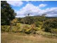 14a Greenhills Road, Kuranda QLD 4881