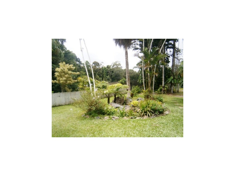 11 Jarawee Road, Kuranda QLD 4881