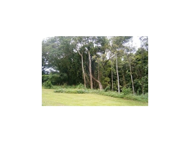 11 Jarawee Road, Kuranda QLD 4881