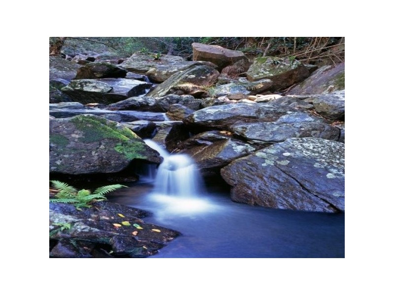 112 Mansfield Street, Earlville QLD 4870