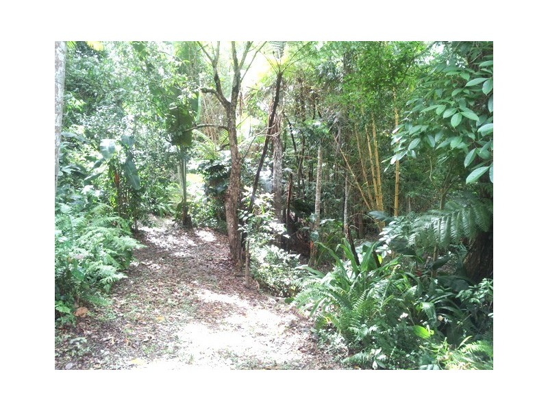Kuranda QLD 4881