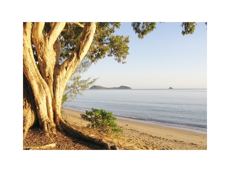 Palm Cove QLD 4879