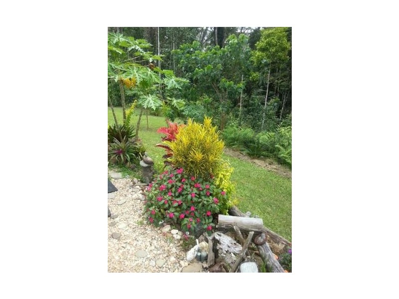 11 Christensen Road, Kuranda QLD 4881