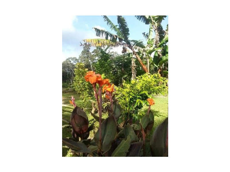 11 Christensen Road, Kuranda QLD 4881