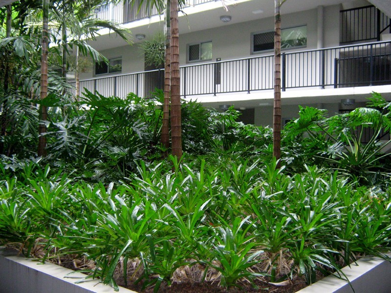 Yorkeys Knob QLD 4878