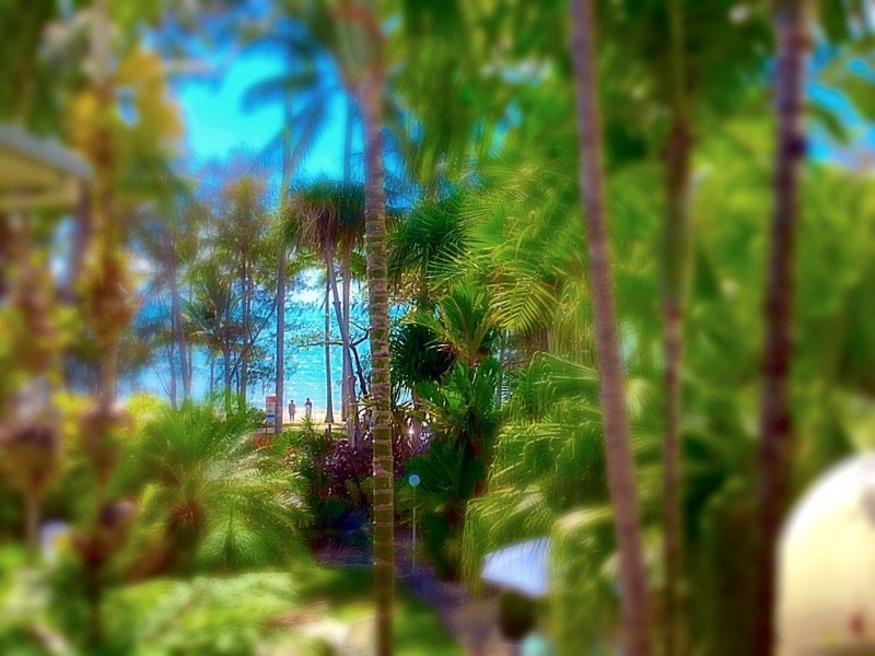 22/85 Williams Esplanade, Palm Cove QLD 4879