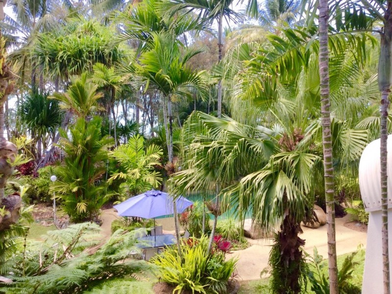22/85 Williams Esplanade, Palm Cove QLD 4879