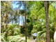 15/85-93 Williams Esp, Palm Cove QLD 4879
