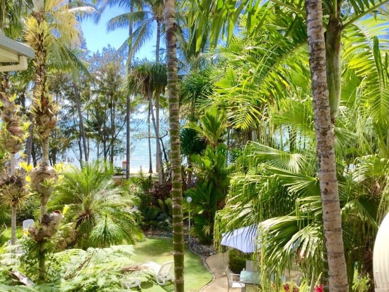 15/85-93 Williams Esp, Palm Cove QLD 4879