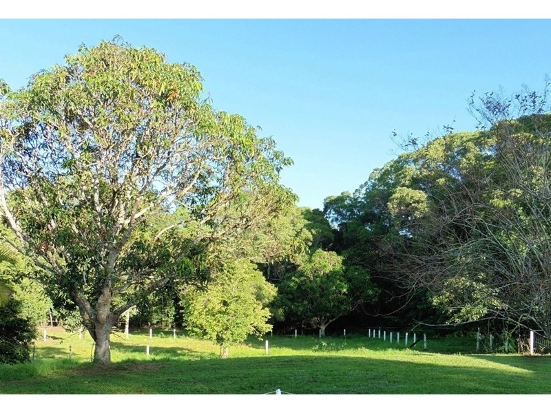 154 Veivers Drive, Speewah QLD 4881