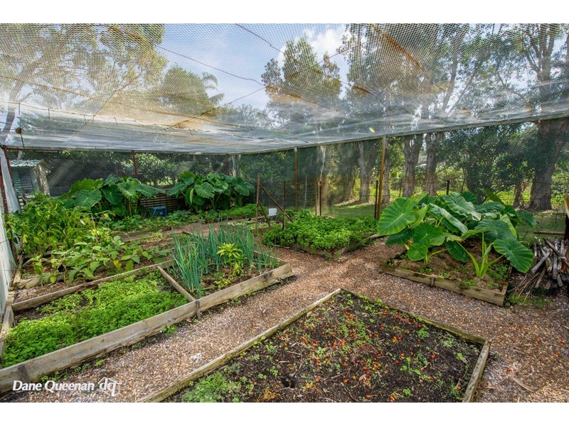 16 Eucalyptus Drive, One Mile NSW 2316