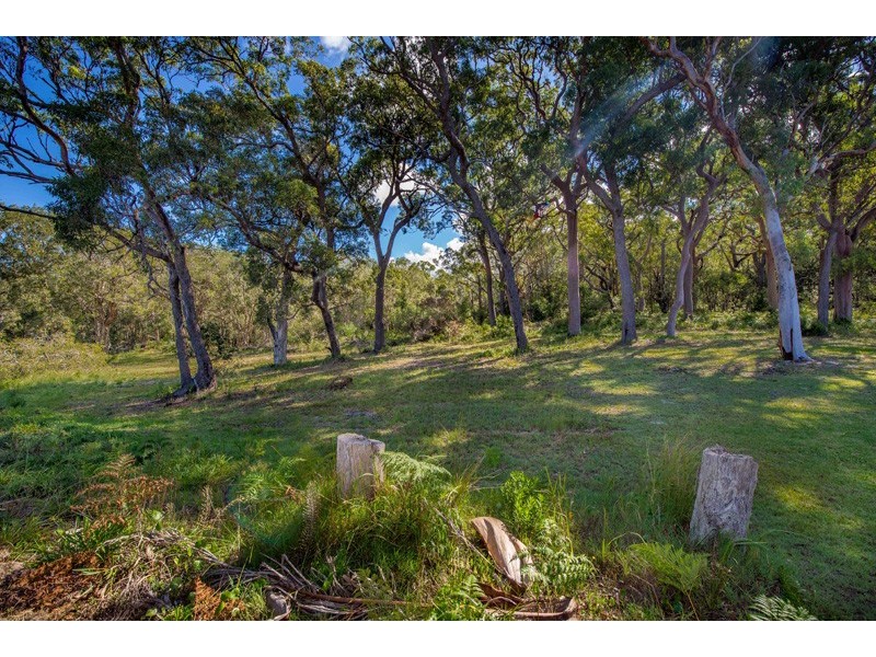 78 Government Road, Shoal Bay NSW 2315