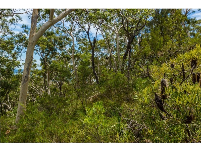 11 Pillinda Court, Nelson Bay NSW 2315