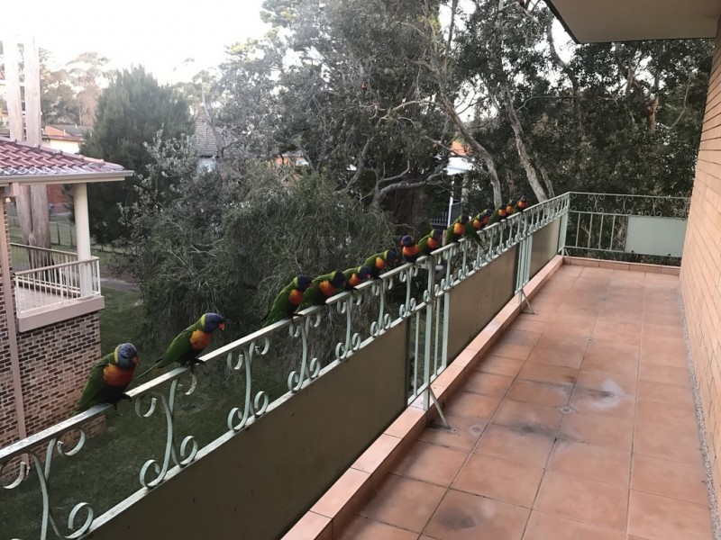 4/4 Weatherly Close, Nelson Bay NSW 2315