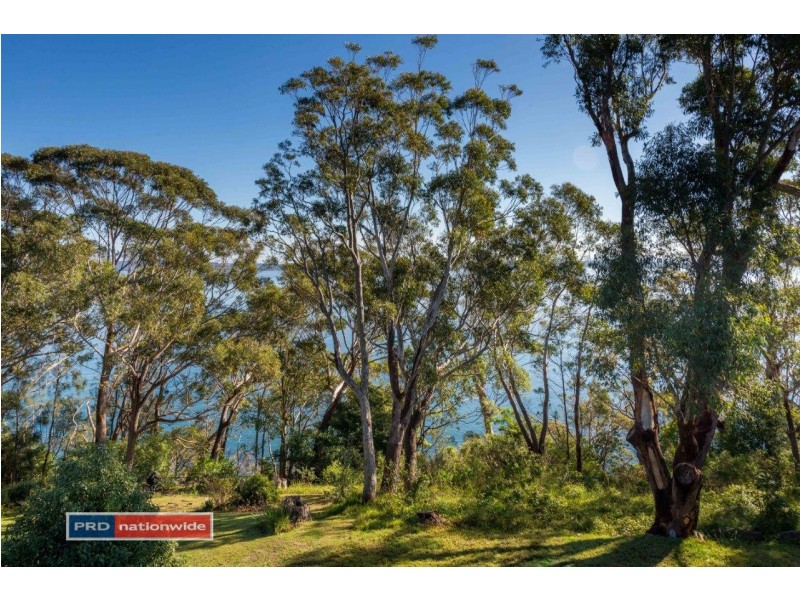 40 Thurlow Avenue, Nelson Bay NSW 2315
