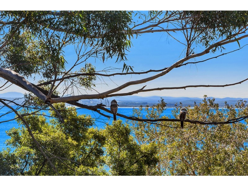 18 Gloucester Street, Nelson Bay NSW 2315