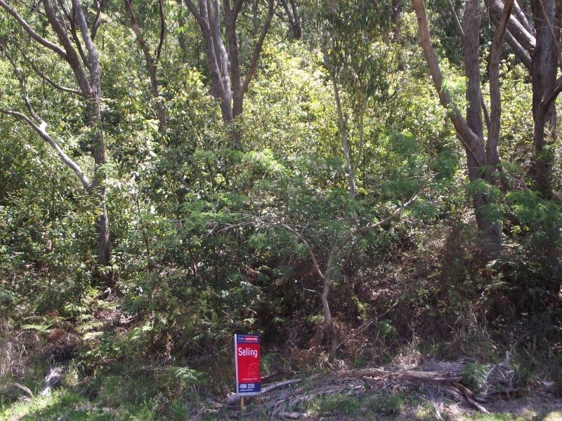 52 Ullora Close, Nelson Bay NSW 2315