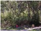 52 Ullora Close, Nelson Bay NSW 2315