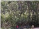 52 Ullora Close, Nelson Bay NSW 2315