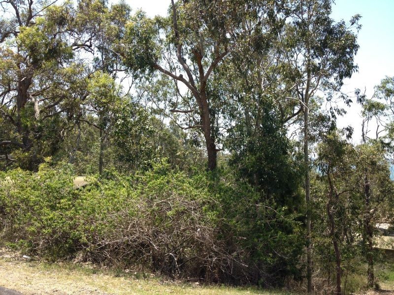 44 Whitbread Drive, Lemon Tree Passage NSW 2319