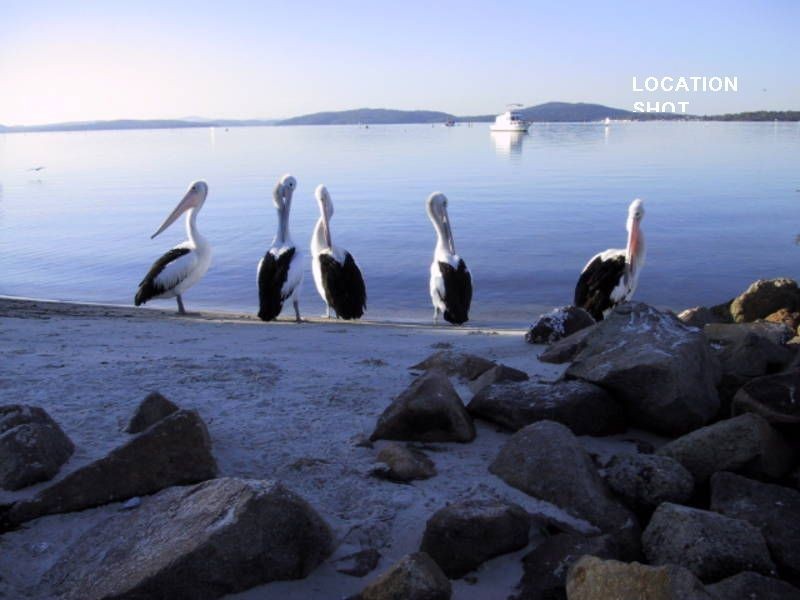 44 Whitbread Drive, Lemon Tree Passage NSW 2319