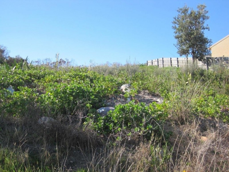 15 Harbour View, Boat Harbour NSW 2316