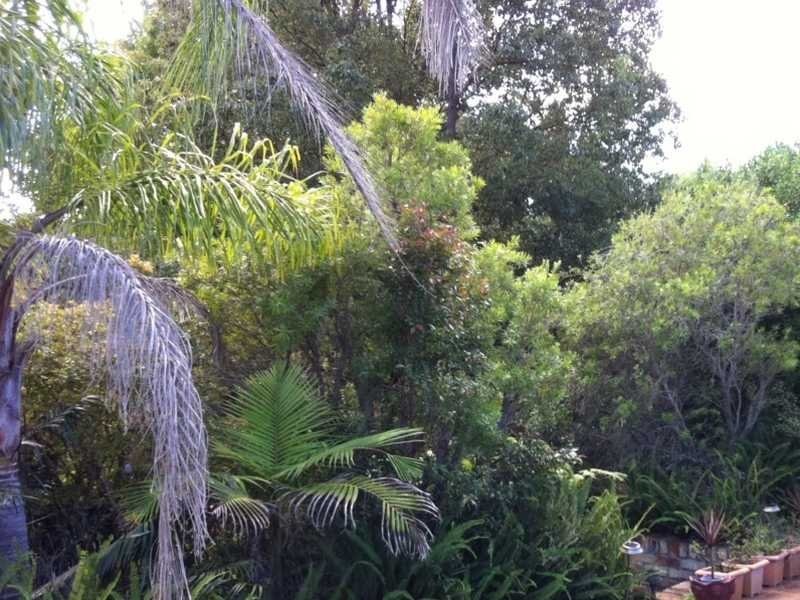 125 Salamander Way, Salamander Bay NSW 2317