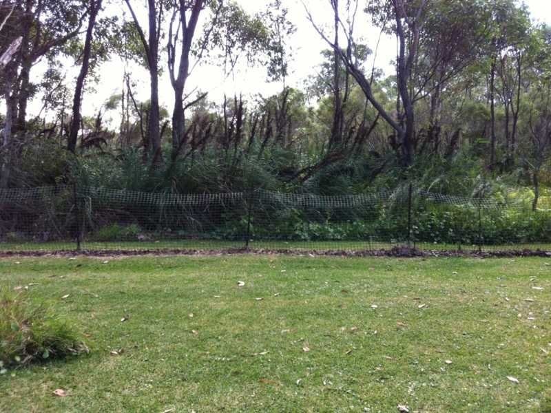 125 Salamander Way, Salamander Bay NSW 2317