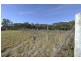 4011 Nelson Bay Road, Bobs Farm NSW 2316