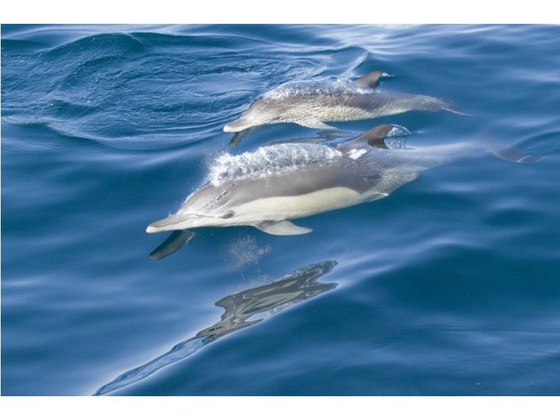 Lot 29 Bayview St, Tea Gardens NSW 2324