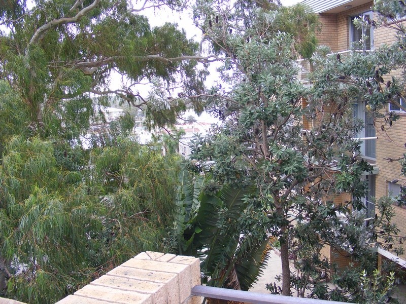 4/61 Ronald Avenue, Shoal Bay NSW 2315