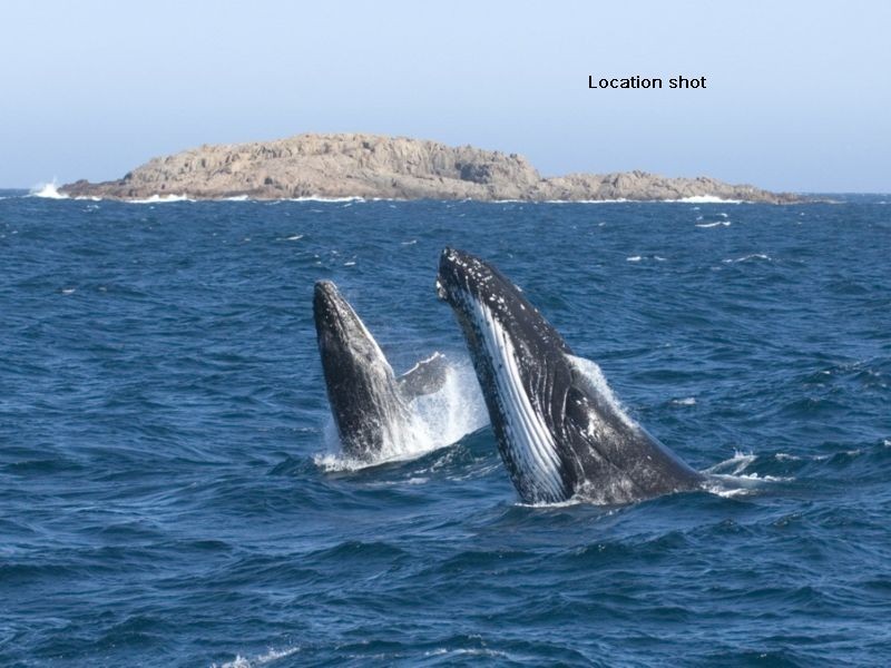 6 – 8 Bullecourt Street, Shoal Bay NSW 2315