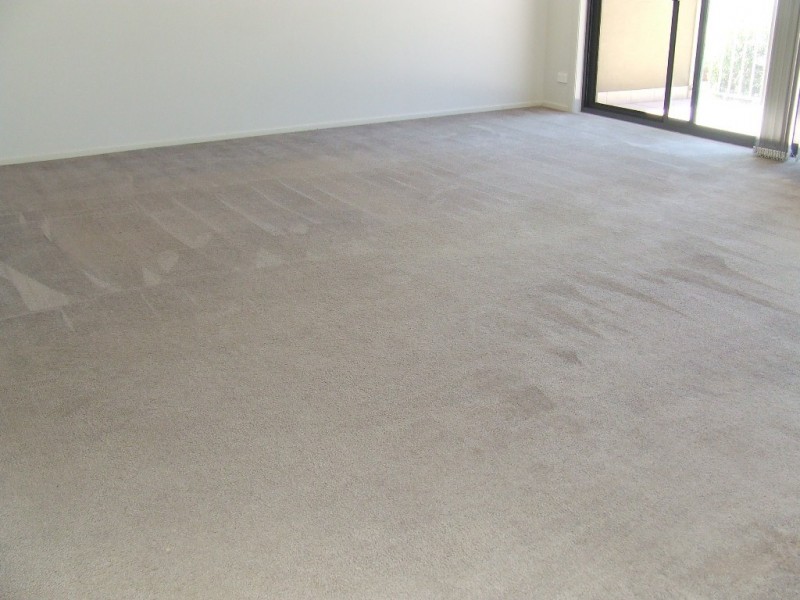 16 Coventry Place, Nelson Bay NSW 2315