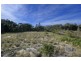 25 Shearwater Drive, Taylors Beach NSW 2316