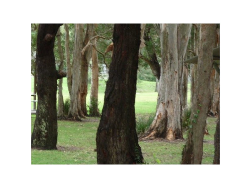 3A Anglers Drive, Anna Bay NSW 2316
