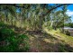 16 Jackson Close, Salamander Bay NSW 2317