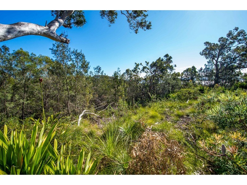 3 Pillinda Court, Nelson Bay NSW 2315
