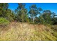 3 Pillinda Court, Nelson Bay NSW 2315
