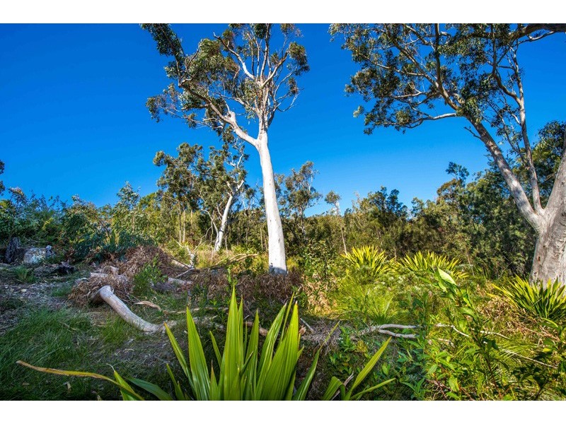 3 Pillinda Court, Nelson Bay NSW 2315