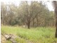 403 Lemon Tree Passage Road, Salt Ash NSW 2318
