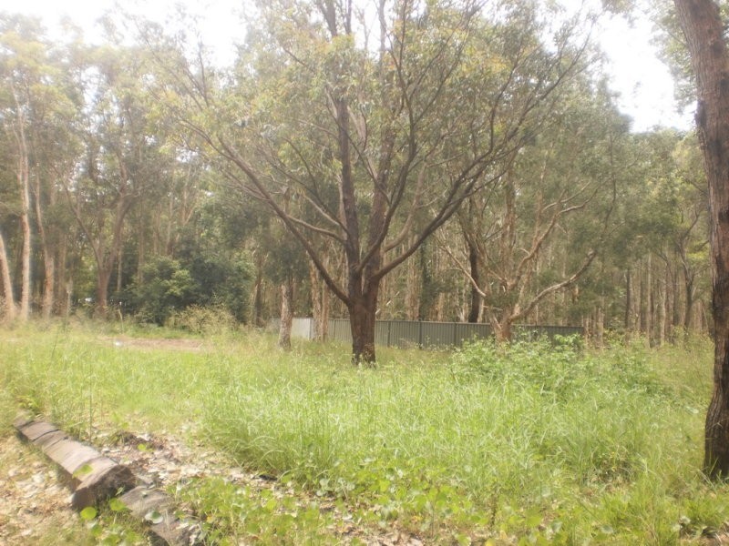 403 Lemon Tree Passage Road, Salt Ash NSW 2318