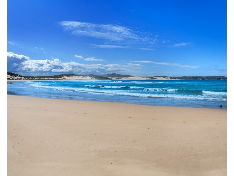 509 Gan Gan Road, One Mile NSW 2316