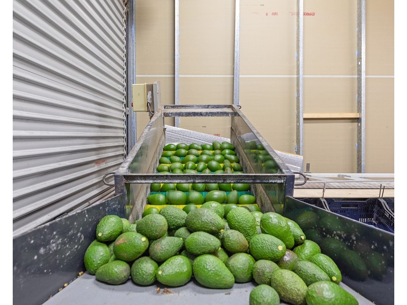 3327 Nelson Bay Rd, Bobs Farm NSW 2316