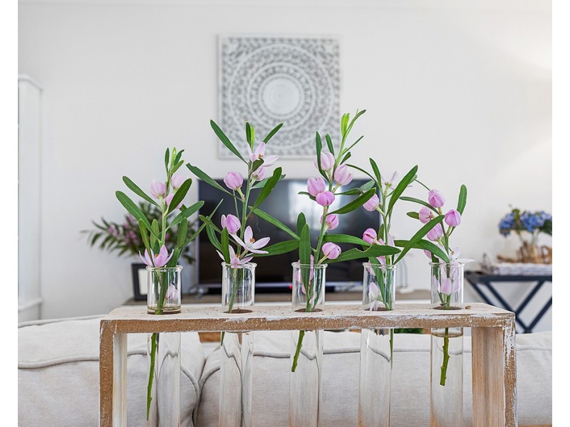 23 Gibbers Drive, Lemon Tree Passage NSW 2319