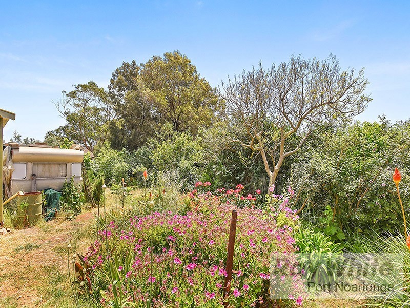 100 Alexander Street, Sellicks Beach SA 5174