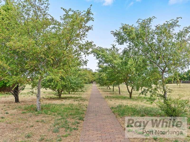 8 Sandpiper Avenue, Seaford Rise SA 5169