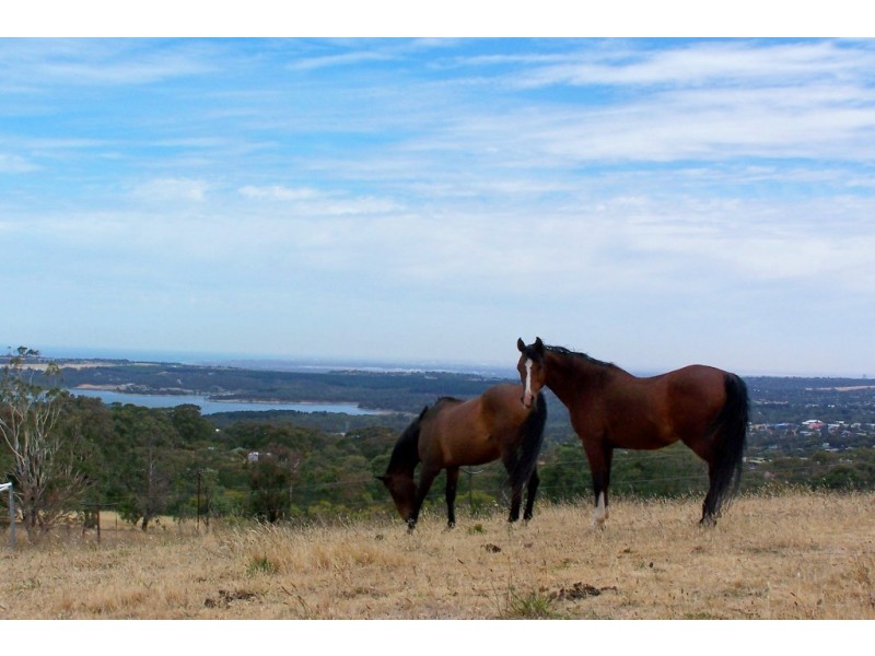 102 Education Road, Onkaparinga Hills SA 5163