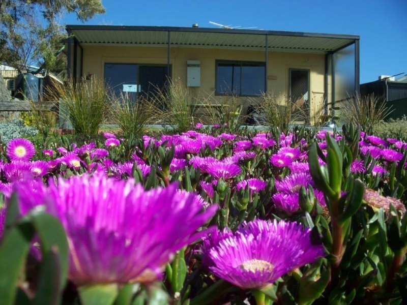 11 Benny Avenue, Port Noarlunga SA 5167